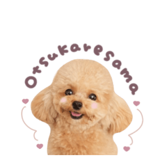 ことらちゃん.PinkStandard