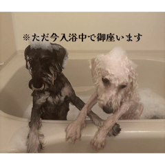 momo_20260601221820