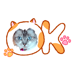 miKi_20260601223259