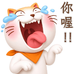 Boom Boom Cat.1 (TWN)