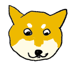 柴犬いろんな顔