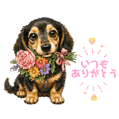 sasa_20260601155308
