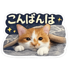 saki_20260601204202