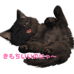 Matty_20260601215903
