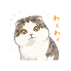 hisae_20260601215743
