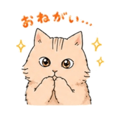 hisae_20260601223220