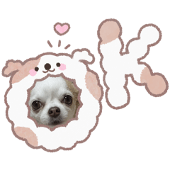 patty_chan