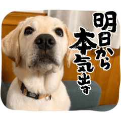 yuka_20260601230851