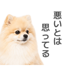 yuino_20260601231307