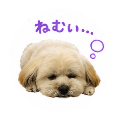 JUN_20260602000442