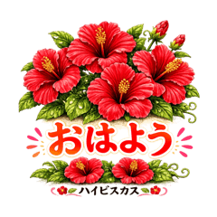 Kazumi_20260602001559