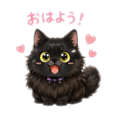 RUNA_20260602074743