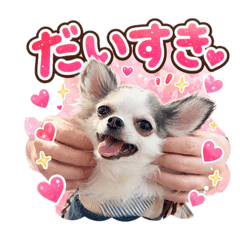 peace_louis_biyori