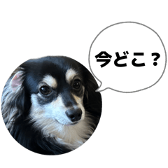 yama_20260602084607