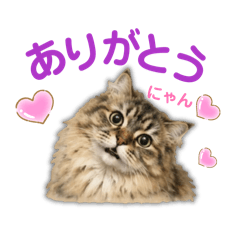 miki_20260602093922