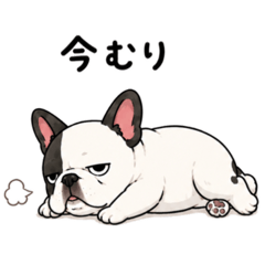 SUNNY_20260602101316