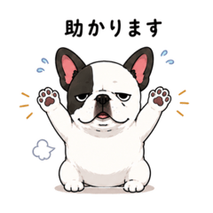 SUNNY_20260602104145