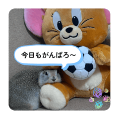momo_20260602112540