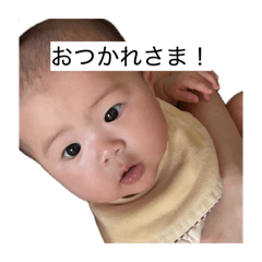 at_20260602113146