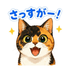 Chi-tan, the calico cat.