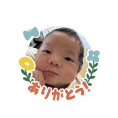 Yun_20260602113636