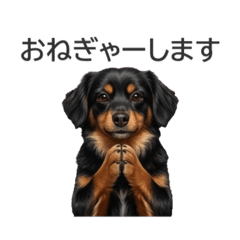 msky_20260602114958