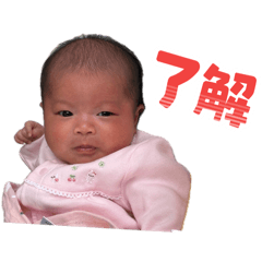 ken_20260602123205