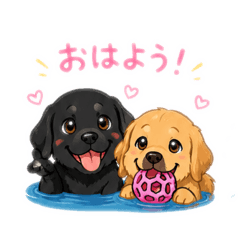 momo_20260602123951