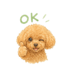 ako_20260602131534