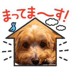 ofumi_20260602094210