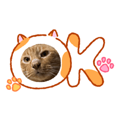 Caramel_20260603212953