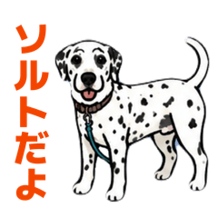 ソルト0