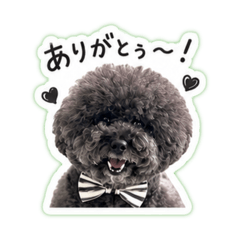 MOMOTARO_20260603214354