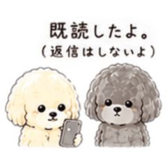 minmi_20260603221755