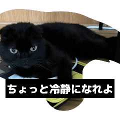 messamuramatu_20260603225438