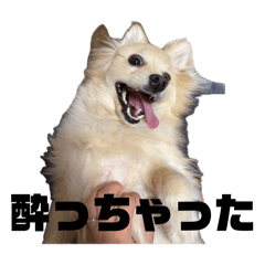c_20260603230040