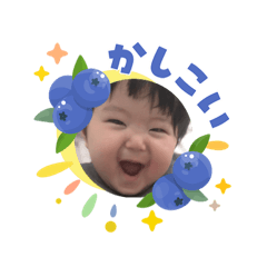 pon_20260603230016