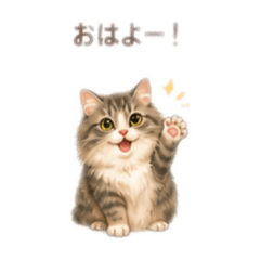 Hideaki_20260604000928