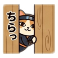 CAT ninja no sekai