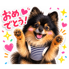 Rei_20260604003417
