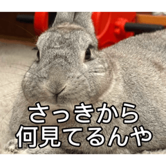 kengo_20260604005603