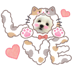 patty_20260603232830