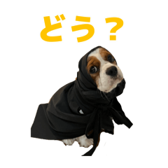 kana_20260604012014