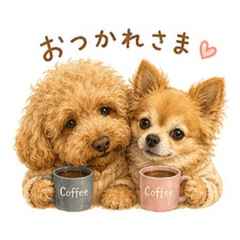mipo_20260604044844