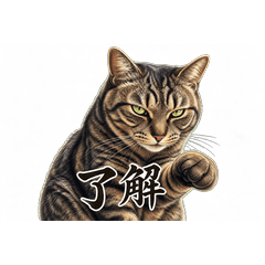 Kijitora Cat Cozy Days