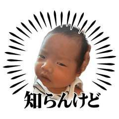 Ally_20260603211753