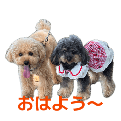 muuumiiiin_20260604091628