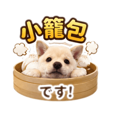 charis_20260604090355