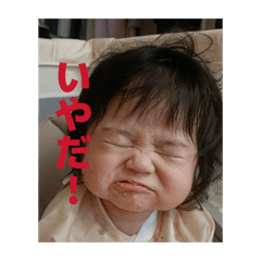 SHU_20260604105622