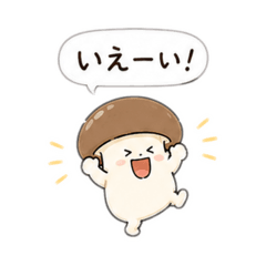 Miki_20260604112824